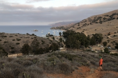 5EED8D52-567E-4E88-B7B3-CC5258F67D17