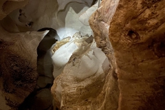 IMG_1130-scaled